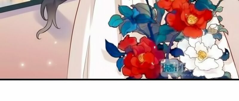 đọc truyện Cô Vợ Hợp Đồng Bỏ Trốn Của Tổng Giám Đốc Chương 9 ảnh 8 tại Thiên Thai Truyện