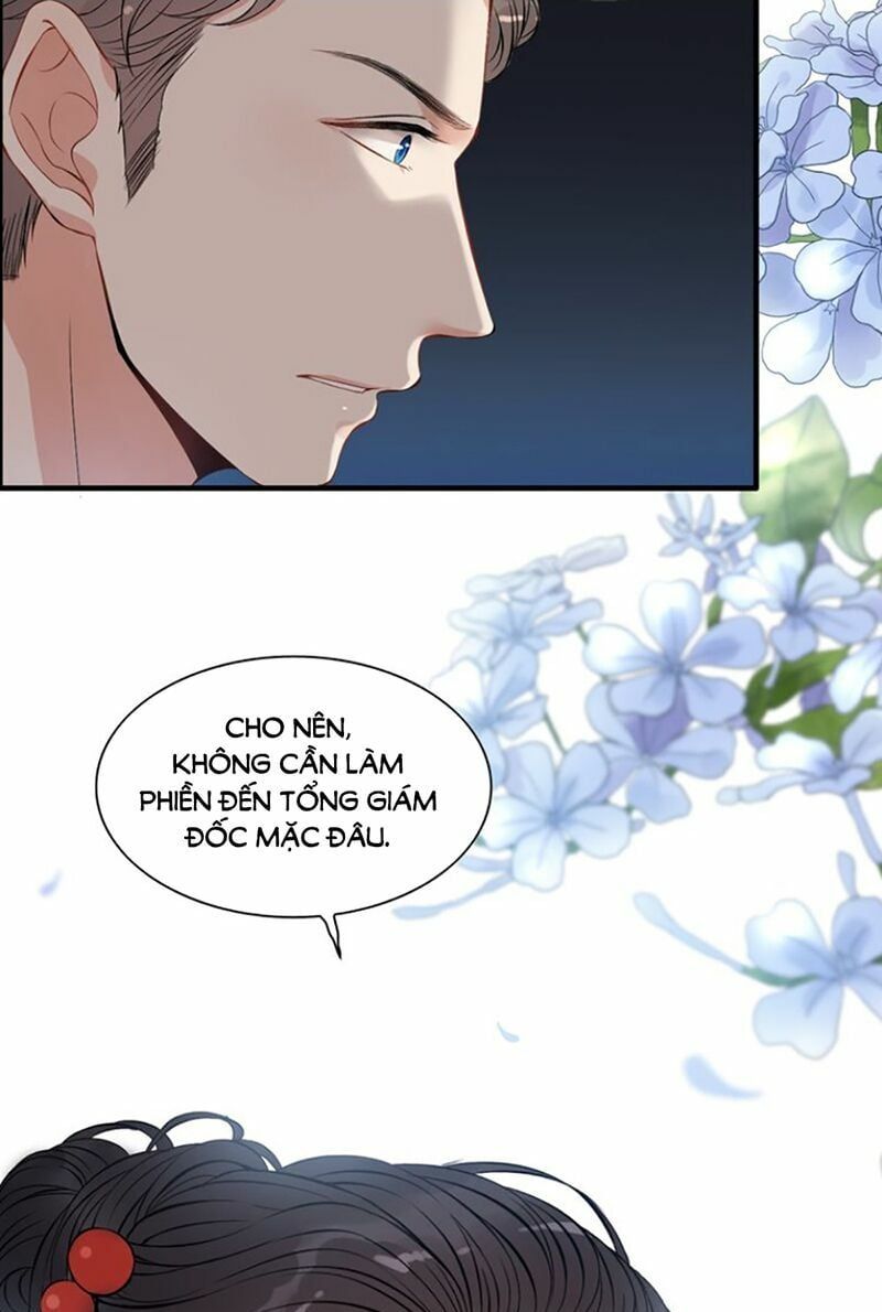 đọc truyện Cô Vợ Hợp Đồng Bỏ Trốn Của Tổng Giám Đốc Chương 99 ảnh 27 tại Thiên Thai Truyện