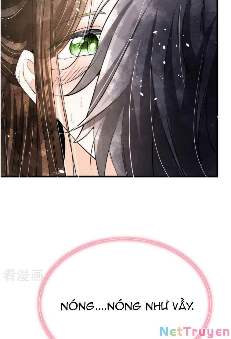 đọc truyện Cô Vợ Hợp Đồng Lạnh Lùng Không Dễ Đụng Đâu Chương 174.1 ảnh 7 tại Thiên Thai Truyện