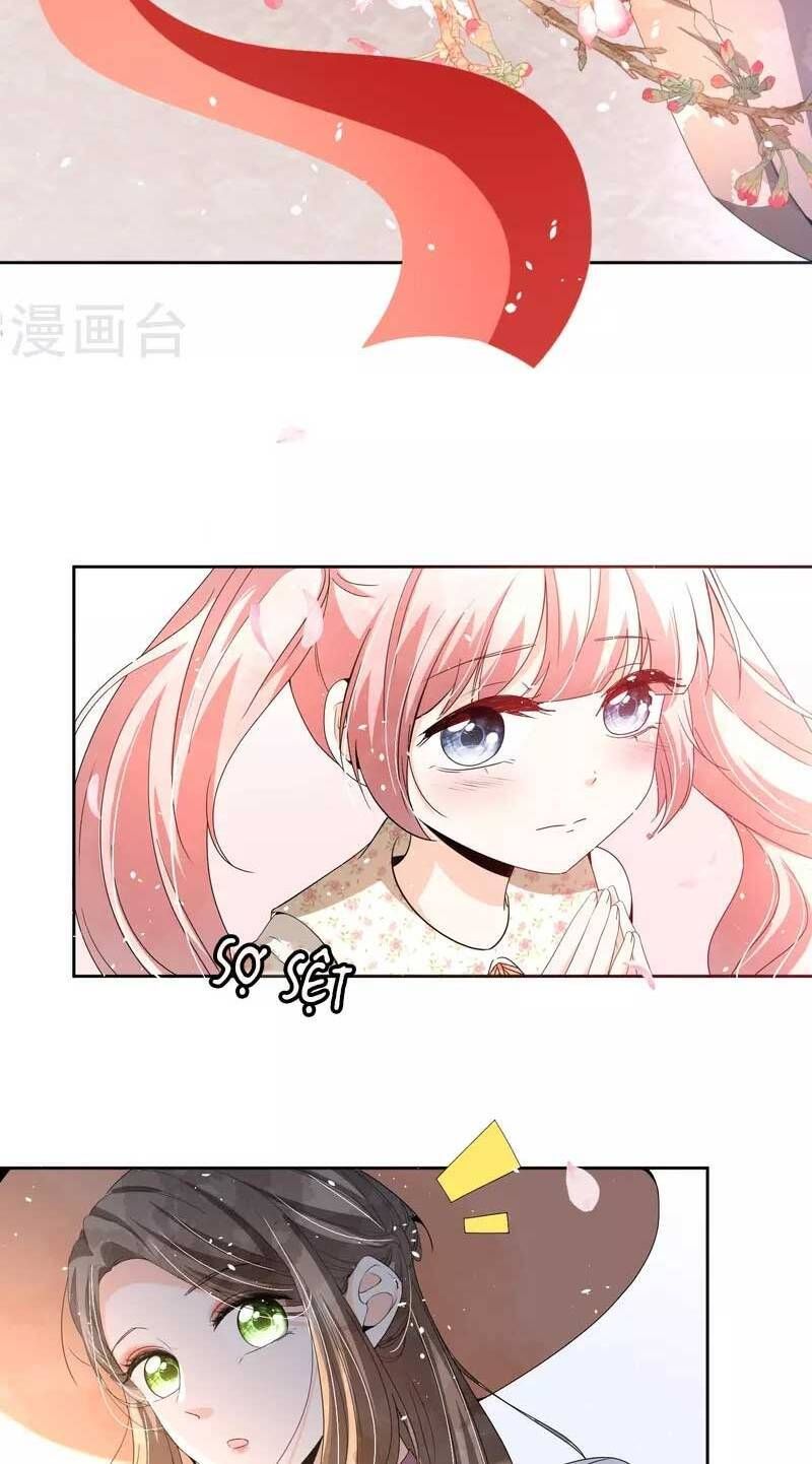 đọc truyện Cô Vợ Hợp Đồng Lạnh Lùng Không Dễ Đụng Đâu Chương 248 ảnh 15 tại Thiên Thai Truyện