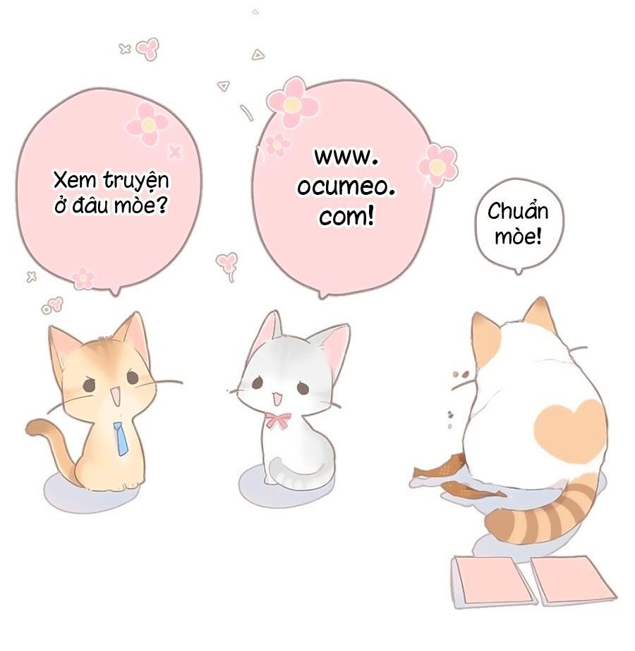 đọc truyện Cô Vợ Mang Thai Một Tặng Một Chương 47 ảnh 41 tại Truyện Dạ Ký