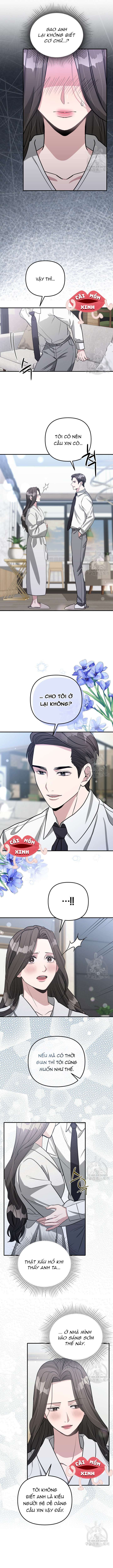 đọc truyện Collector Chương 15 ảnh 8 tại Thiên Thai Truyện