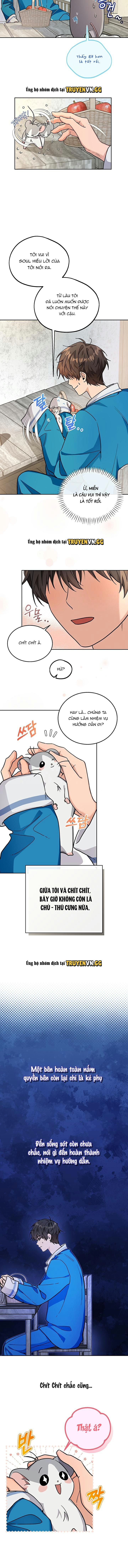 đọc truyện Con Chuột Tôi Nuôi Lại Là Thức Tỉnh Giả Cấp S Chương 2 ảnh 3 tại Giả Dược