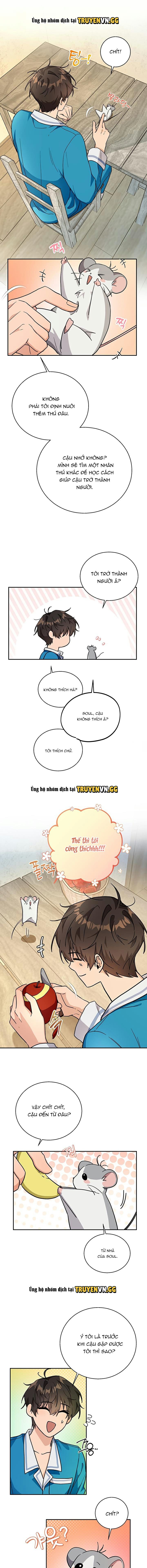 đọc truyện Con Chuột Tôi Nuôi Lại Là Thức Tỉnh Giả Cấp S Chương 2 ảnh 6 tại Giả Dược