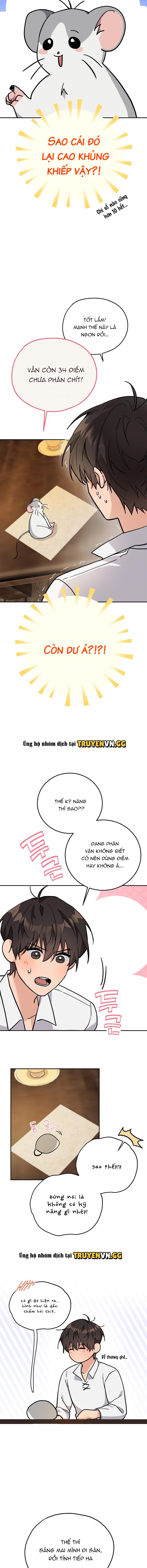đọc truyện Con Chuột Tôi Nuôi Lại Là Thức Tỉnh Giả Cấp S Chương 3 ảnh 11 tại Giả Dược