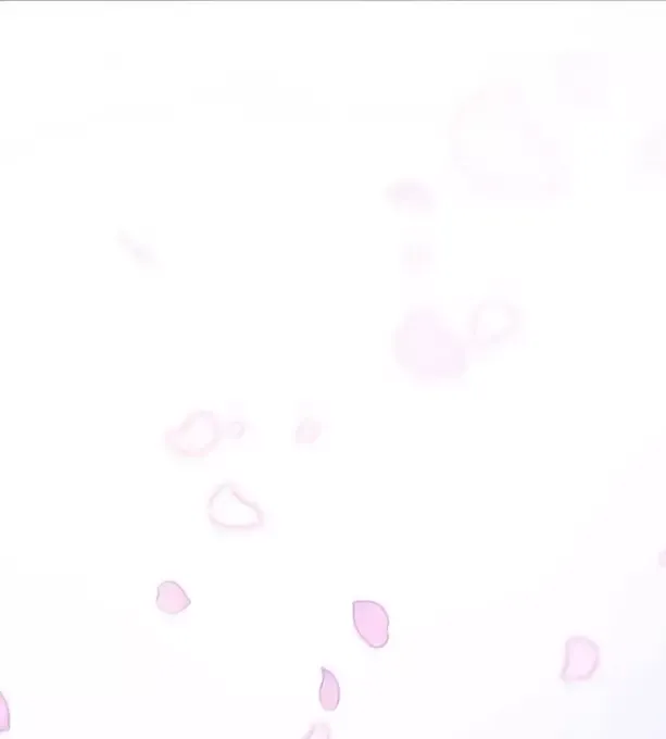 đọc truyện Con Trai Út Của Gia Đình Kiếm Thuật Danh Tiếng Chương 175 ảnh 55 tại Thiên Thai Truyện