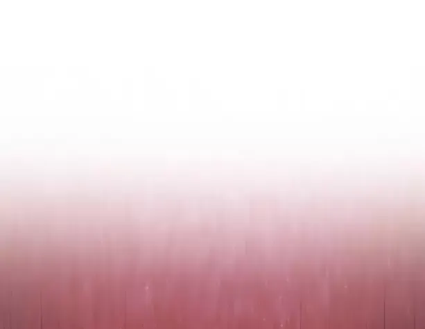 đọc truyện Con Trai Út Của Gia Đình Kiếm Thuật Danh Tiếng Chương 175 ảnh 99 tại Thiên Thai Truyện