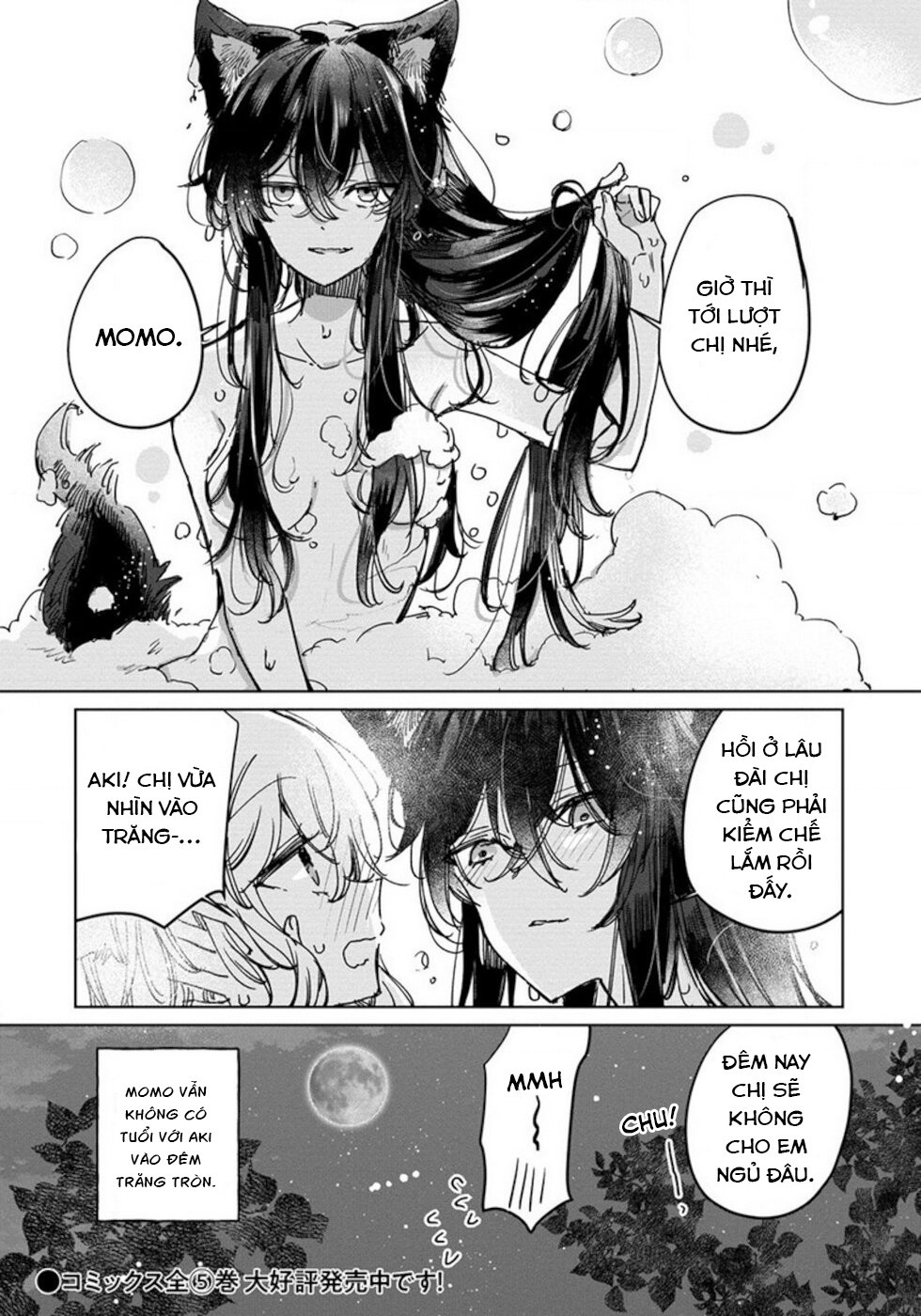 đọc truyện Công Chúa Cừu Trong Lốt Sói Chương 27.5 ảnh 7 tại Thiên Thai Truyện