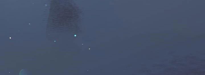 đọc truyện Công Chúa Giả Điên Chương 59.5 ảnh 7 tại Thiên Thai Truyện