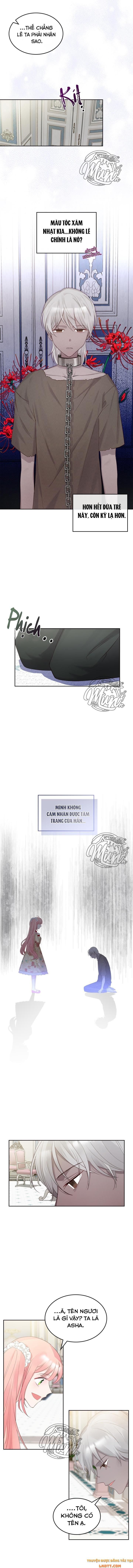 đọc truyện Công Chúa Phản Diện Muốn Sống Trong Cửa Hàng Bánh Ngọt Chương 31 ảnh 8 tại Thiên Thai Truyện