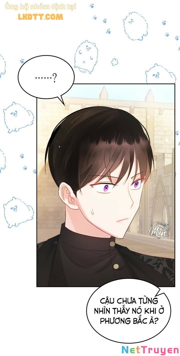 đọc truyện Công Chúa Phản Diện Muốn Sống Trong Cửa Hàng Bánh Ngọt Chương 37 ảnh 24 tại Thiên Thai Truyện