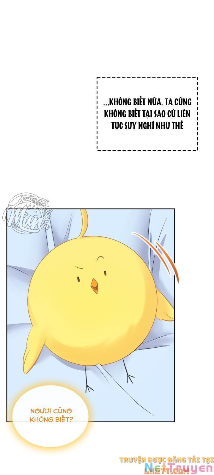 đọc truyện Công Chúa Phản Diện Muốn Sống Trong Cửa Hàng Bánh Ngọt Chương 49 ảnh 20 tại Thiên Thai Truyện