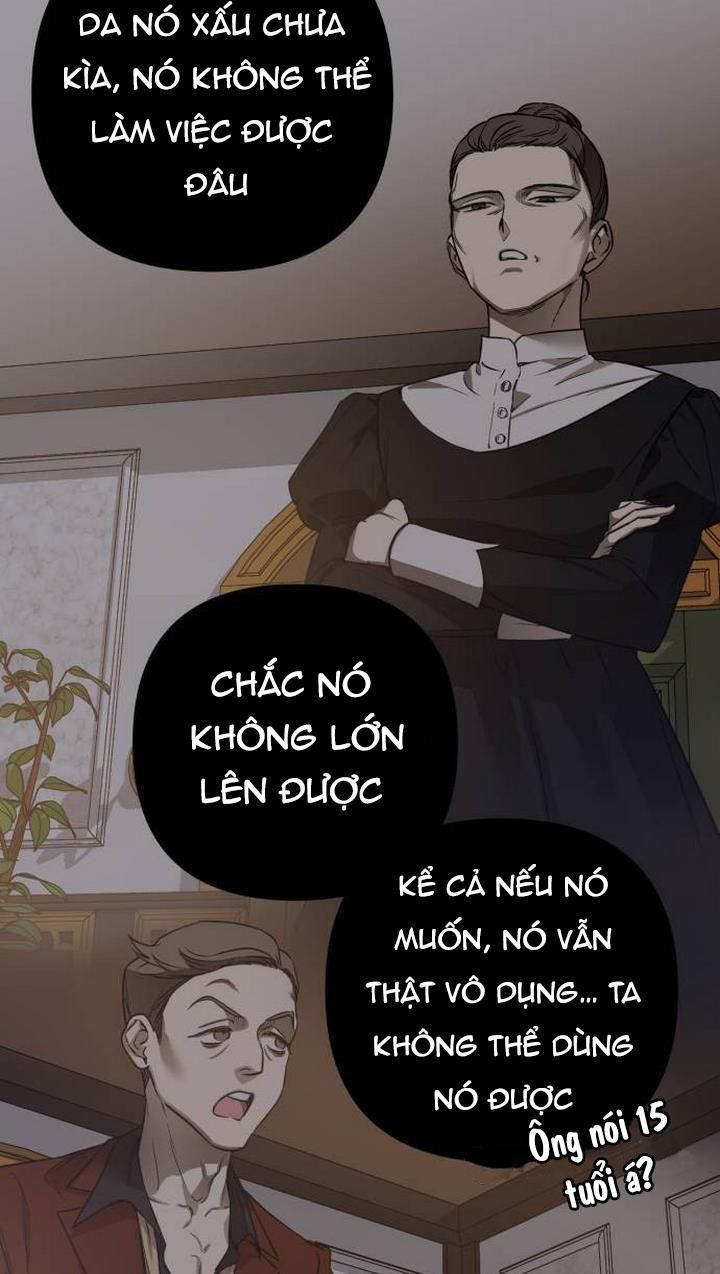 đọc truyện Công Nương Mint Bé Nhỏ Chương 2 ảnh 3 tại Giả Dược