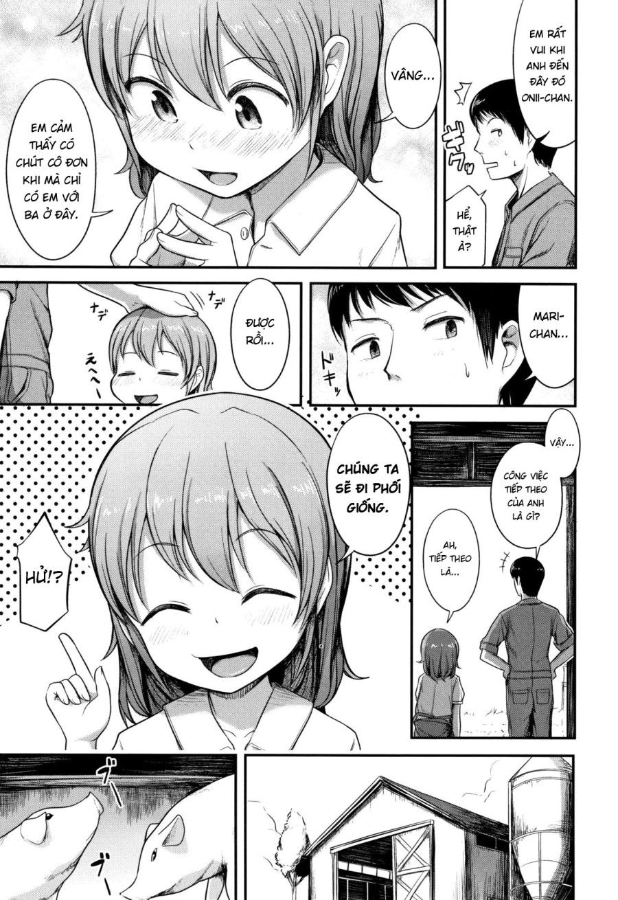 Công Việc Tại Trang Trại Oneshot page 4 - Giả Dược