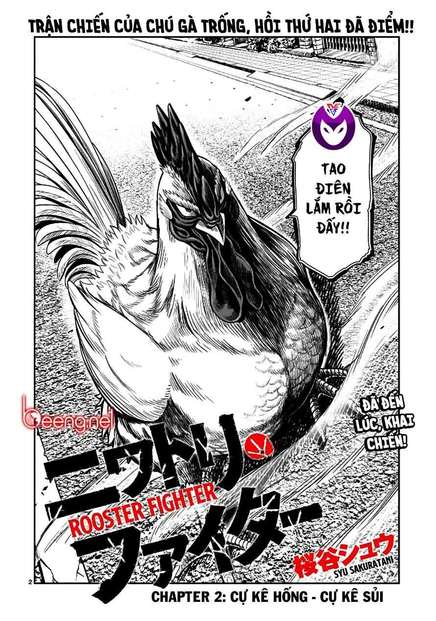 đọc truyện Cự Kê Chiến Ký Chương 2 ảnh 3 tại Thiên Thai Truyện