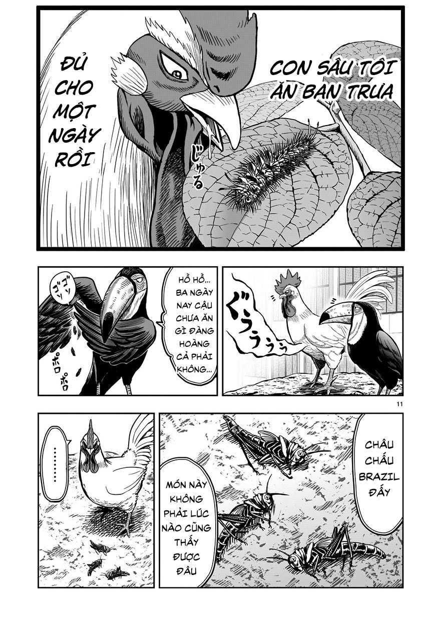 đọc truyện Cự Kê Chiến Ký Chương 3 ảnh 13 tại Thiên Thai Truyện