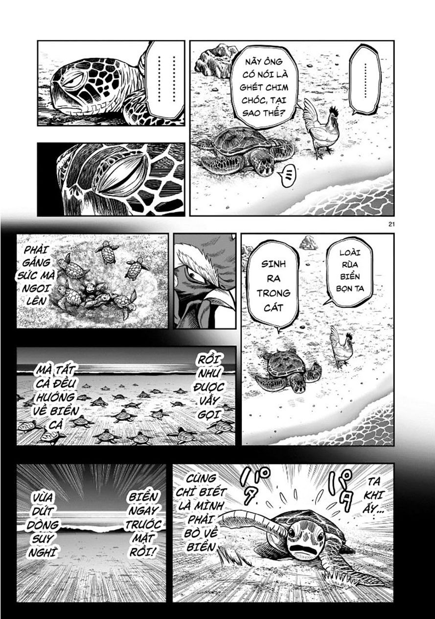 đọc truyện Cự Kê Chiến Ký Chương 4 ảnh 23 tại Thiên Thai Truyện