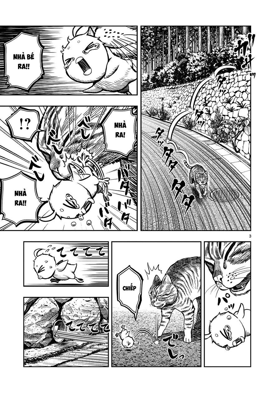 đọc truyện Cự Kê Chiến Ký Chương 9 ảnh 5 tại Thiên Thai Truyện