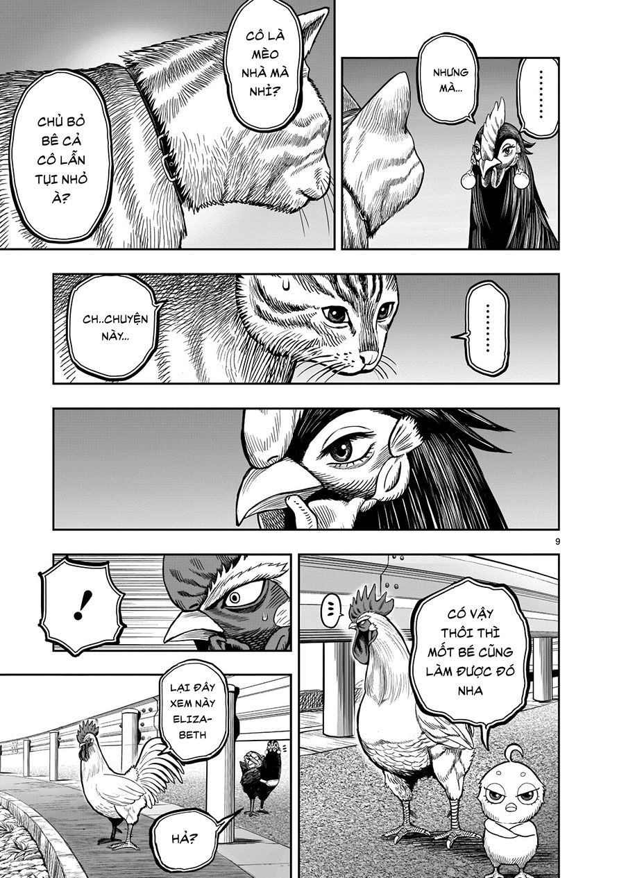 đọc truyện Cự Kê Chiến Ký Chương 9 ảnh 11 tại Thiên Thai Truyện