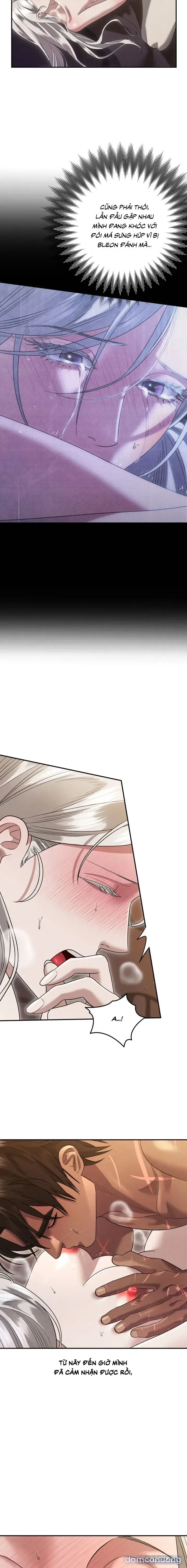 đọc truyện Cuộc Hôn Nhân Bị Cướp Đoạt Chương 90 ảnh 8 tại Thiên Thai Truyện