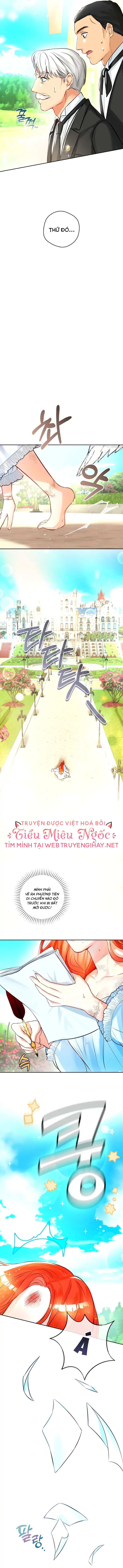 đọc truyện Cuộc Hôn Nhân Của Đại Công Tước Chỉ Là Một Trò Lừa Đảo Chương 1 ảnh 10 tại Giả Dược