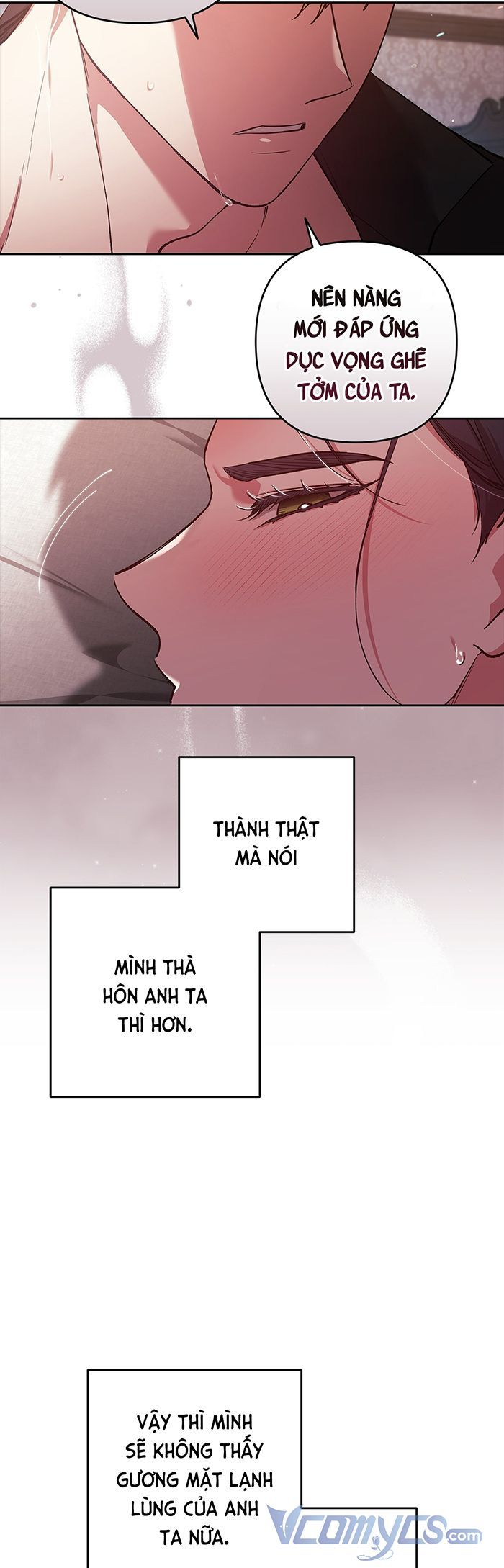 đọc truyện Cuộc Hôn Nhân Này Dù Sao Cũng Sẽ Tan Vỡ Mà Thôi Chương 52 ảnh 17 tại Giả Dược