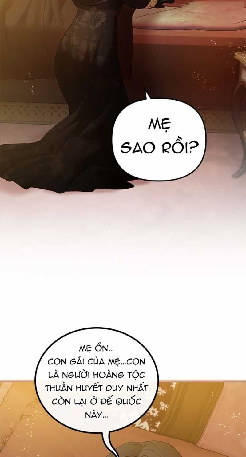 Cuộc Sống Vương Giả Của Người Tình Giả Chương 53.2 page 30 - Giả Dược