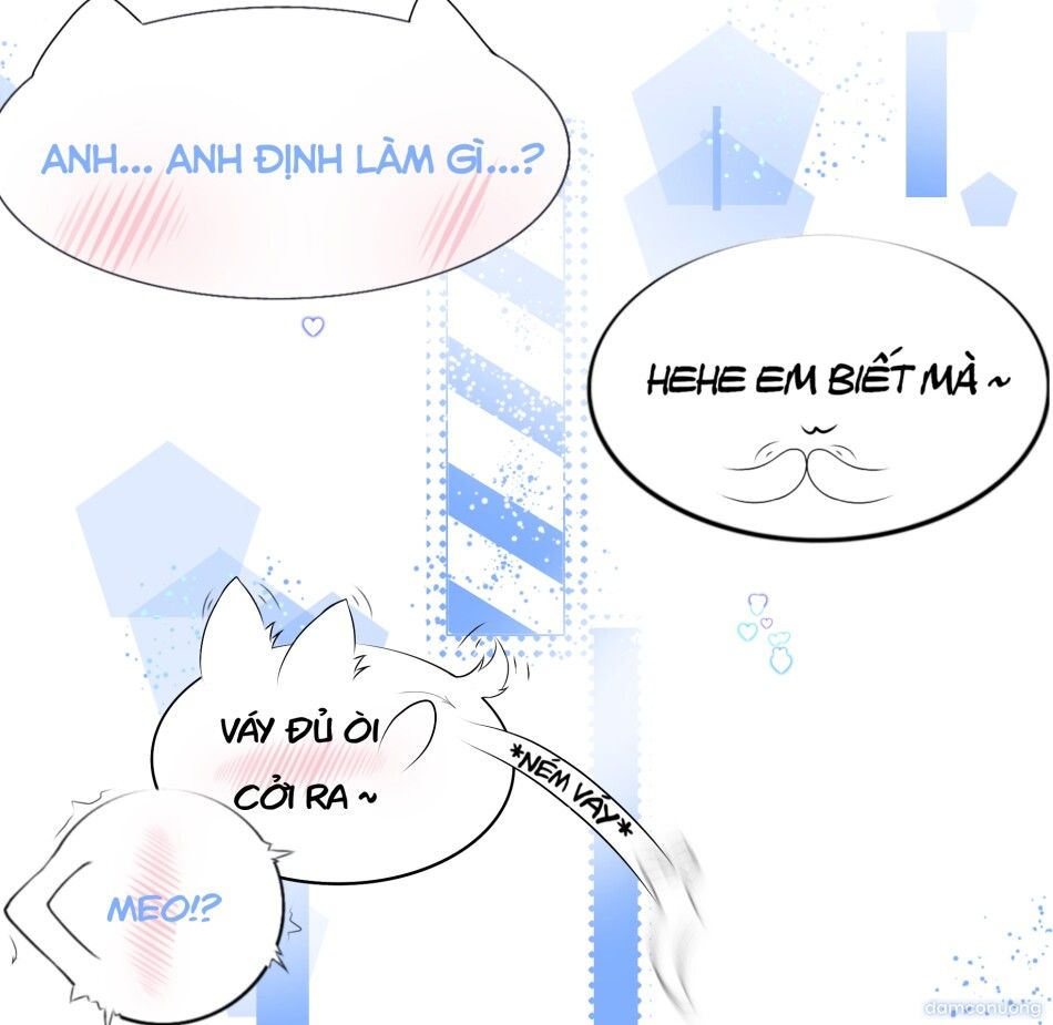 đọc truyện Cười Vợ Để Làm Gì ? Chương 1 ảnh 9 tại Thiên Thai Truyện