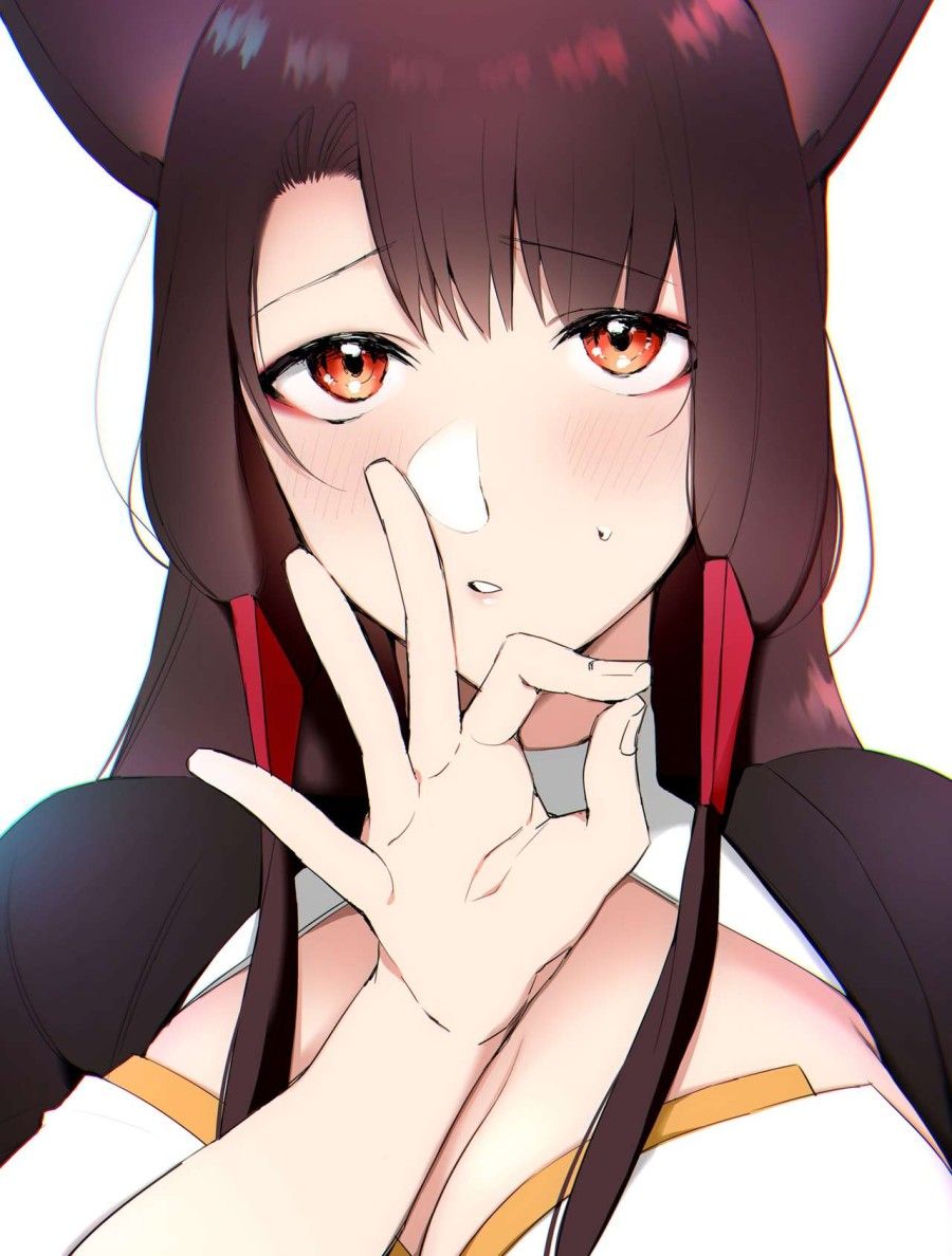 Cuốn Sách Khiến Akagi Phải Bú Cu (azurane) Oneshot page 4 - Giả Dược