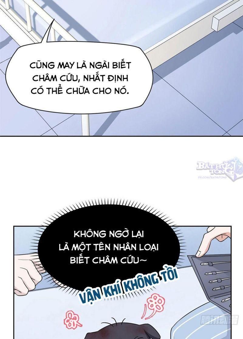 đọc truyện Cường Giả Đến Từ Trại Tâm Thần Chương 21 ảnh 31 tại Giả Dược