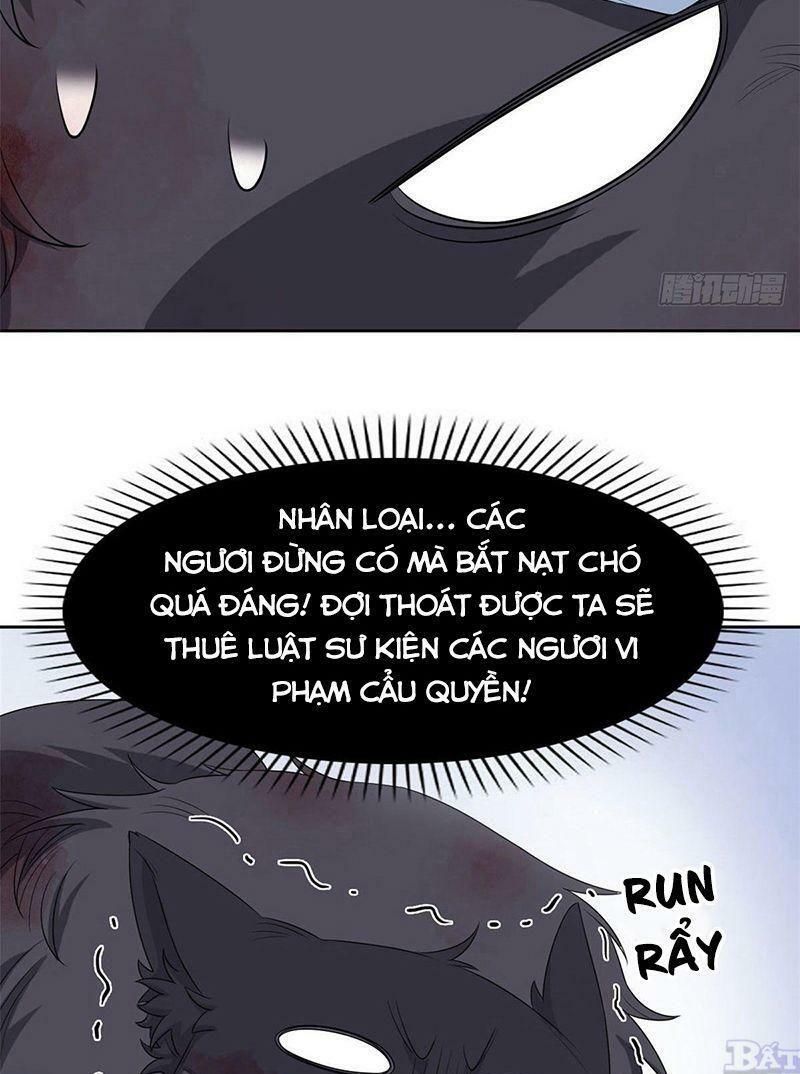 đọc truyện Cường Giả Đến Từ Trại Tâm Thần Chương 23 ảnh 13 tại Giả Dược