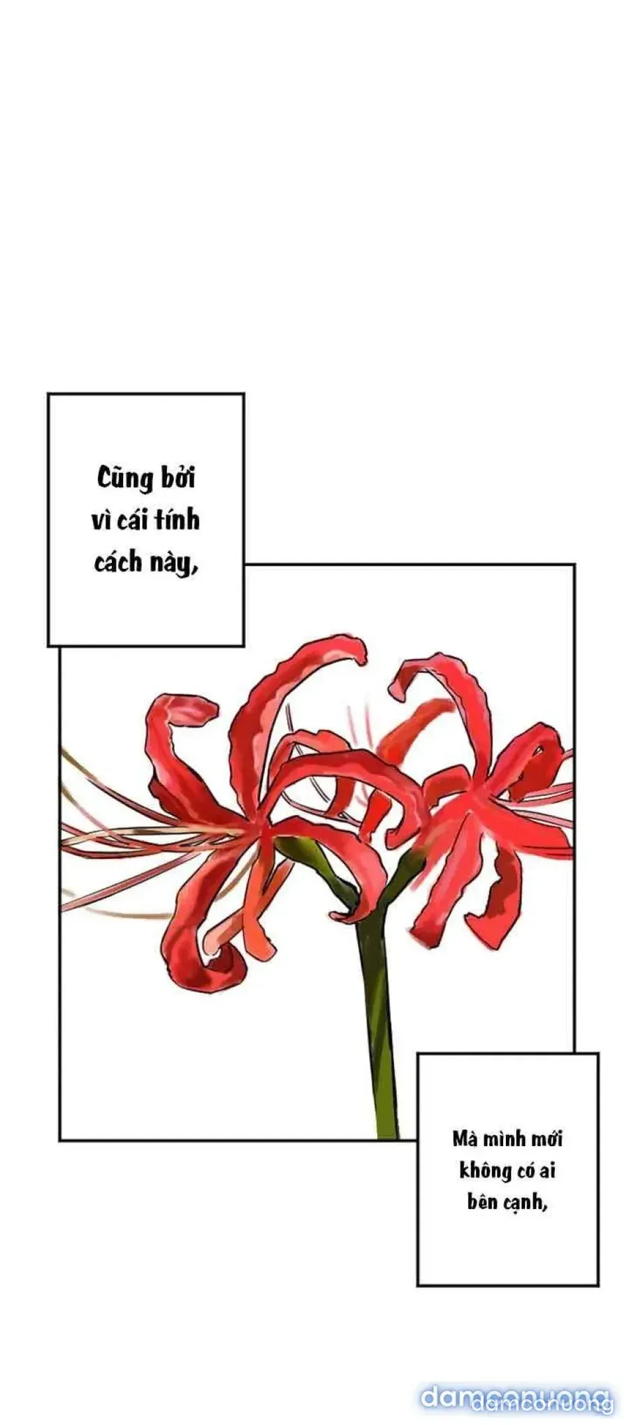 đọc truyện Cupid Thầm Lặng Của Tôi Chương 7 ảnh 12 tại Thiên Thai Truyện