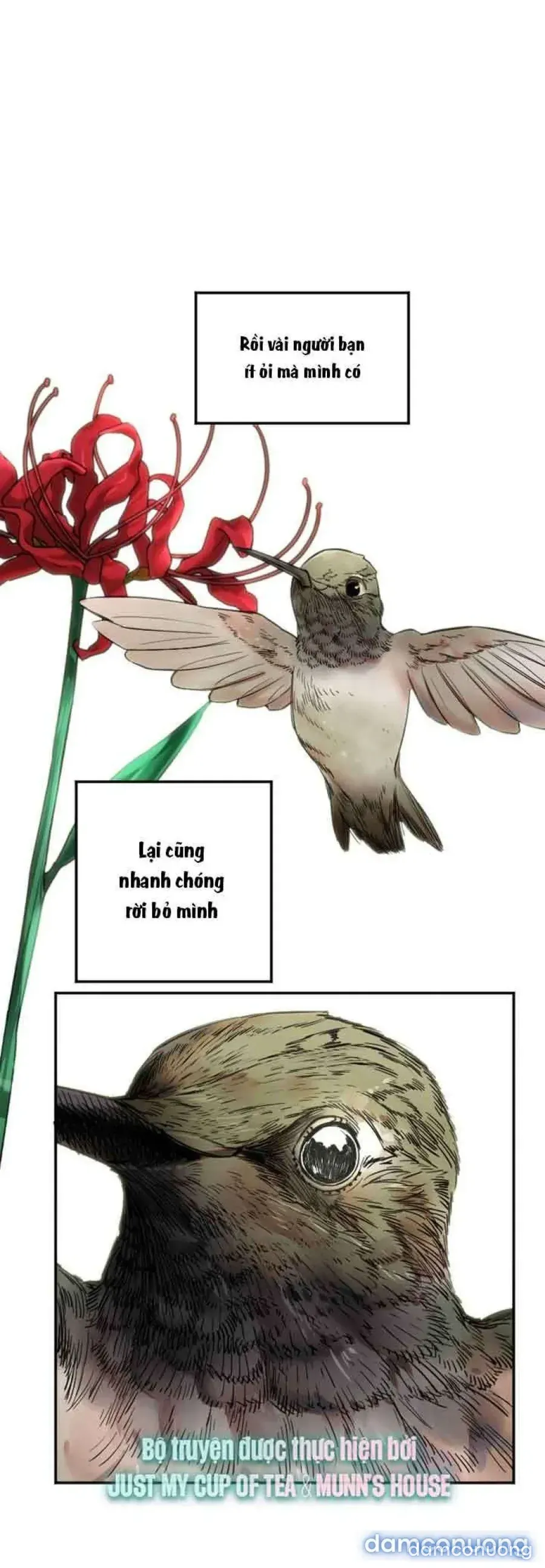 đọc truyện Cupid Thầm Lặng Của Tôi Chương 7 ảnh 13 tại Thiên Thai Truyện