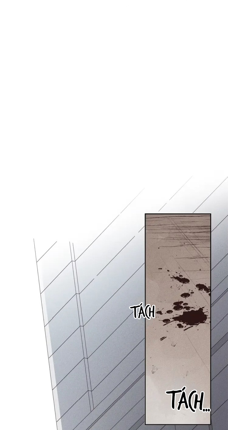 đọc truyện Cứu Rỗi Chương 1 ảnh 53 tại Thiên Thai Truyện