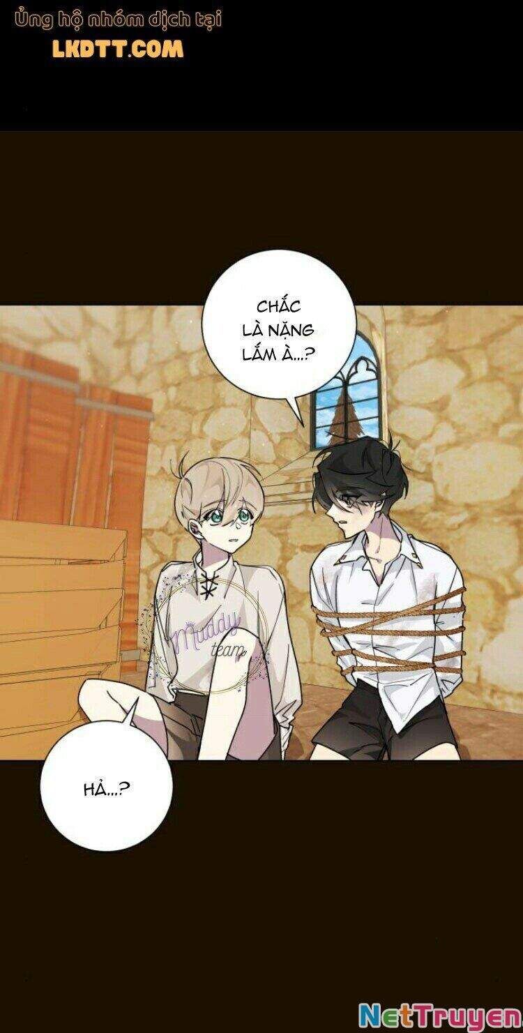 đọc truyện Đã Có Lúc Ta Muốn Nàng Chết Đi Chương 16 ảnh 29 tại Thiên Thai Truyện