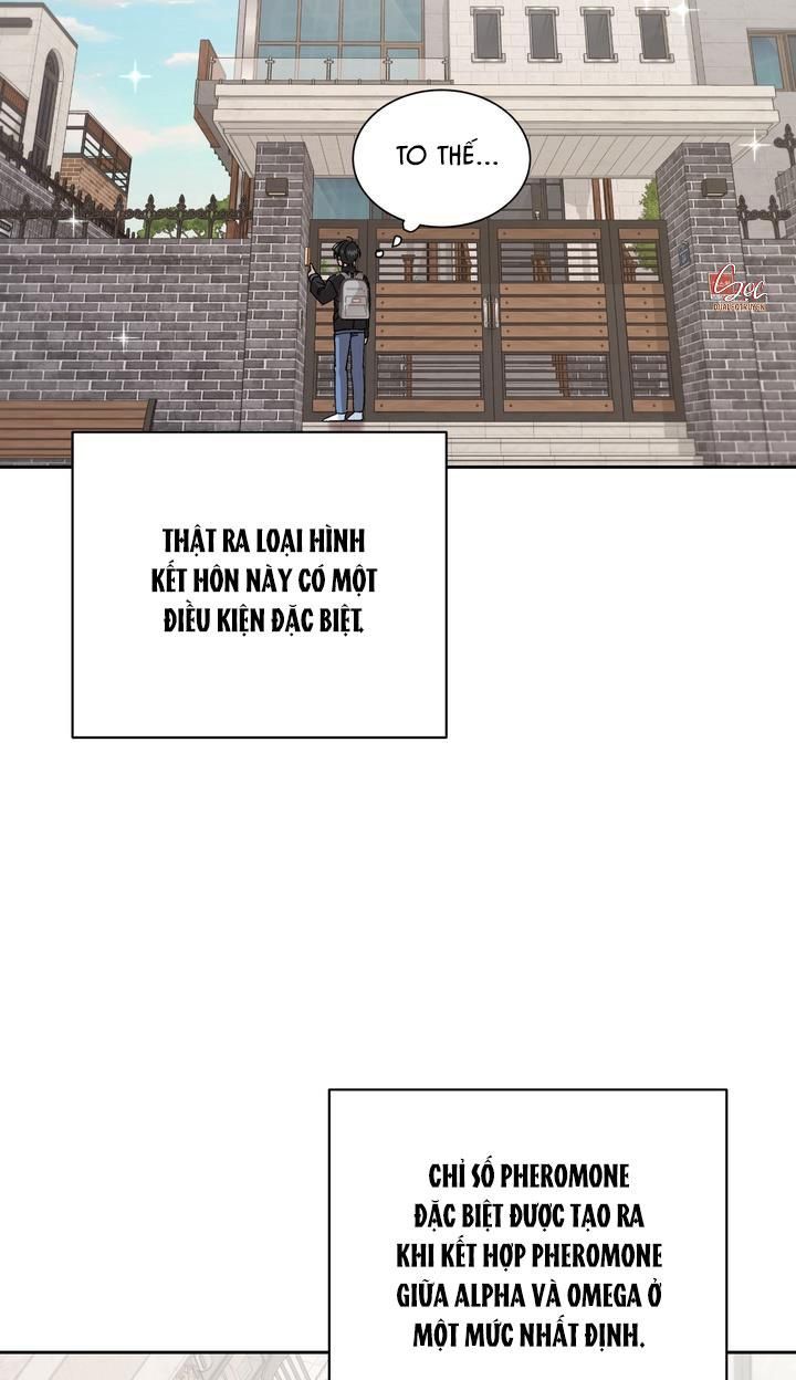 đọc truyện Đặc Quyền Cho Cặp Đôi Mới Cưới Chương 2 ảnh 22 tại Truyện Dạ Ký