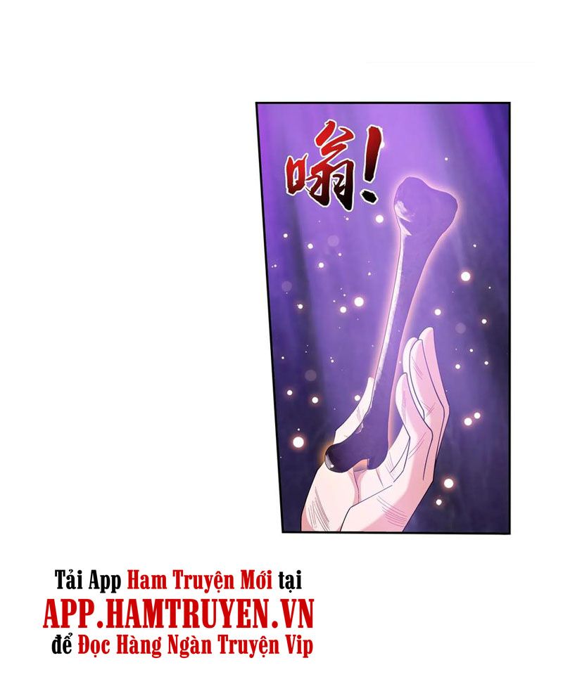 đọc truyện Đại Chúa Tể Chương 263 ảnh 21 tại Giả Dược