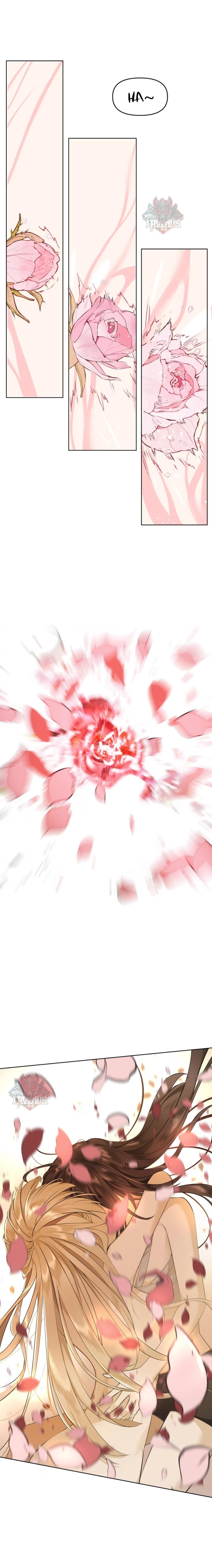 đọc truyện Đại Lão, Đầu Của Cô Lại Rơi Rồi Chương 1 ảnh 10 tại Thiên Thai Truyện