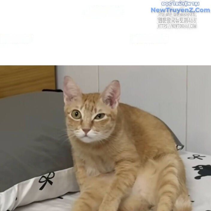 đọc truyện Đại Pháp Sư Mở Nhà Hàng Chương 77 ảnh 207 tại Thiên Thai Truyện