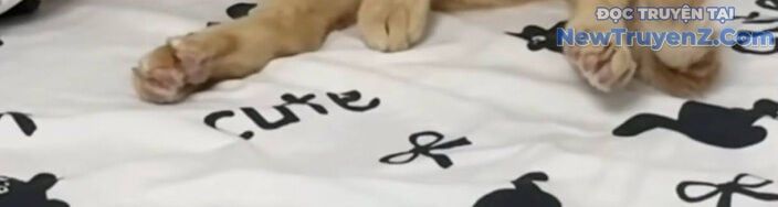 đọc truyện Đại Pháp Sư Mở Nhà Hàng Chương 77 ảnh 208 tại Thiên Thai Truyện