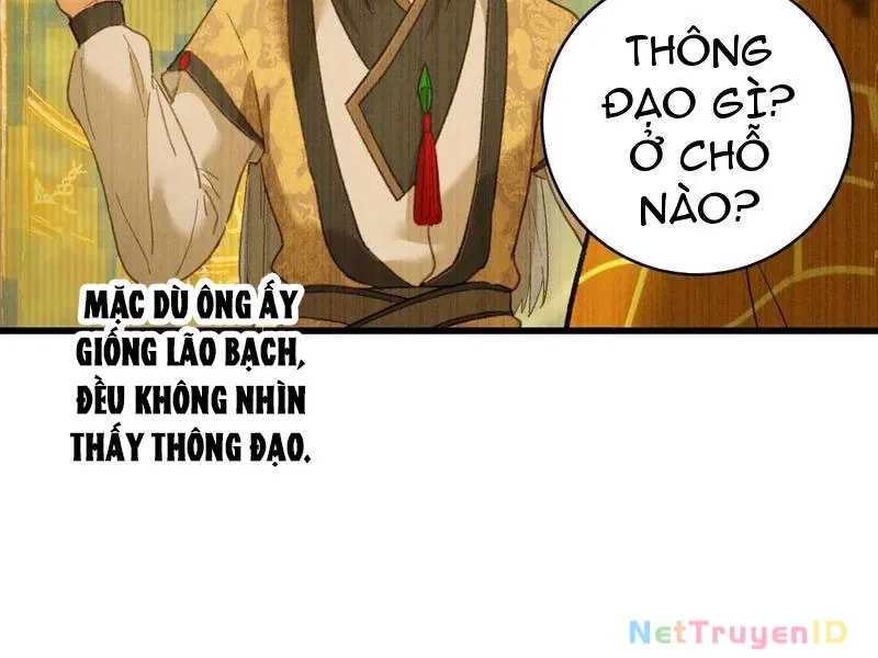 đọc truyện Đại Thừa Kỳ Mới Có Nghịch Tập Hệ Thống Chương 54 ảnh 101 tại Thiên Thai Truyện