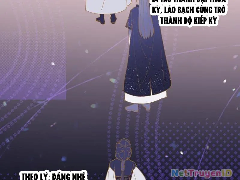 đọc truyện Đại Thừa Kỳ Mới Có Nghịch Tập Hệ Thống Chương 55 ảnh 26 tại Thiên Thai Truyện