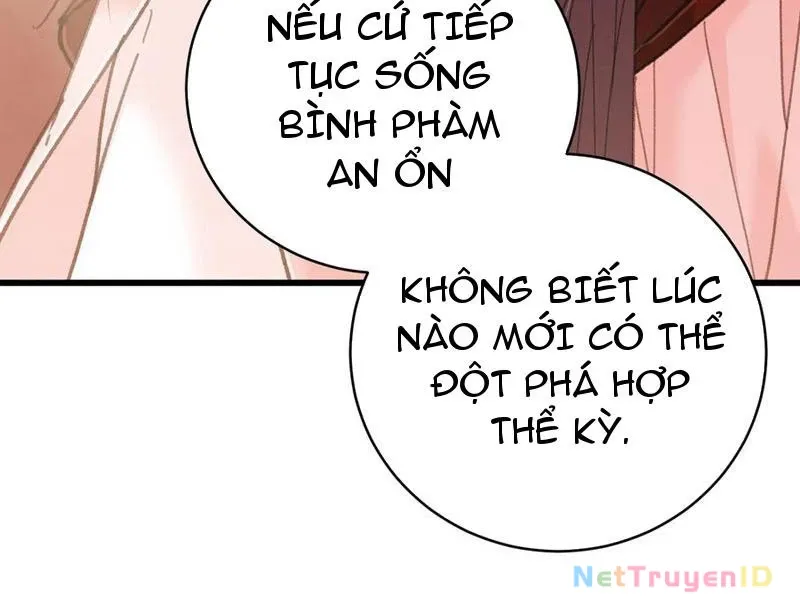 đọc truyện Đại Thừa Kỳ Mới Có Nghịch Tập Hệ Thống Chương 55 ảnh 33 tại Thiên Thai Truyện