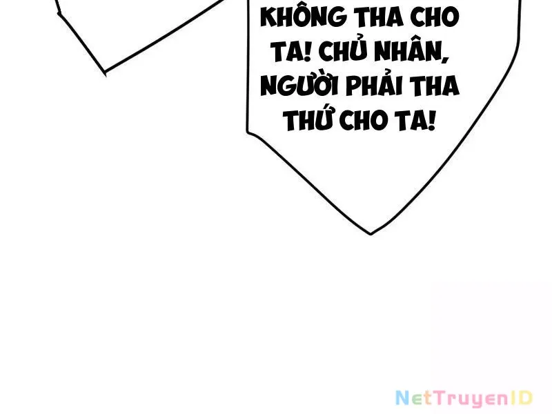 đọc truyện Đại Thừa Kỳ Mới Có Nghịch Tập Hệ Thống Chương 55 ảnh 56 tại Thiên Thai Truyện