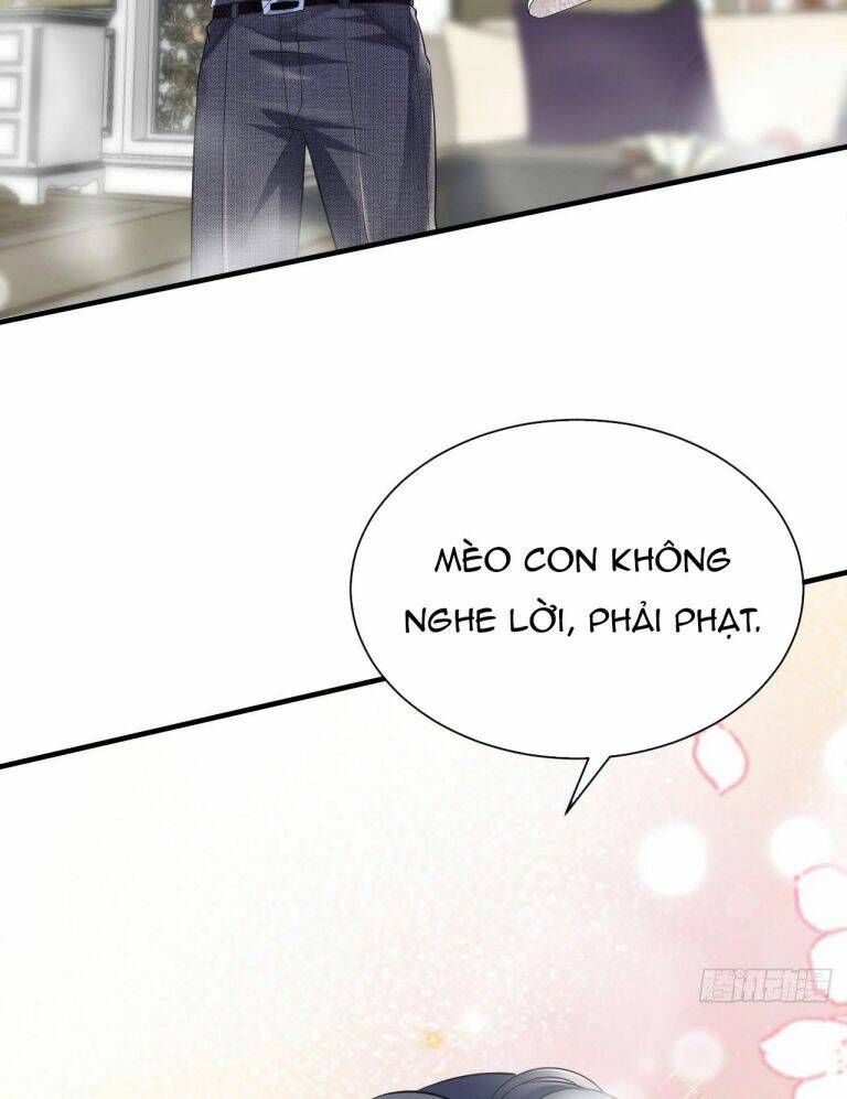 đọc truyện Đại Tiểu Thư Có Thể Có Cái Gì Xấu Chương 11 ảnh 44 tại Giả Dược
