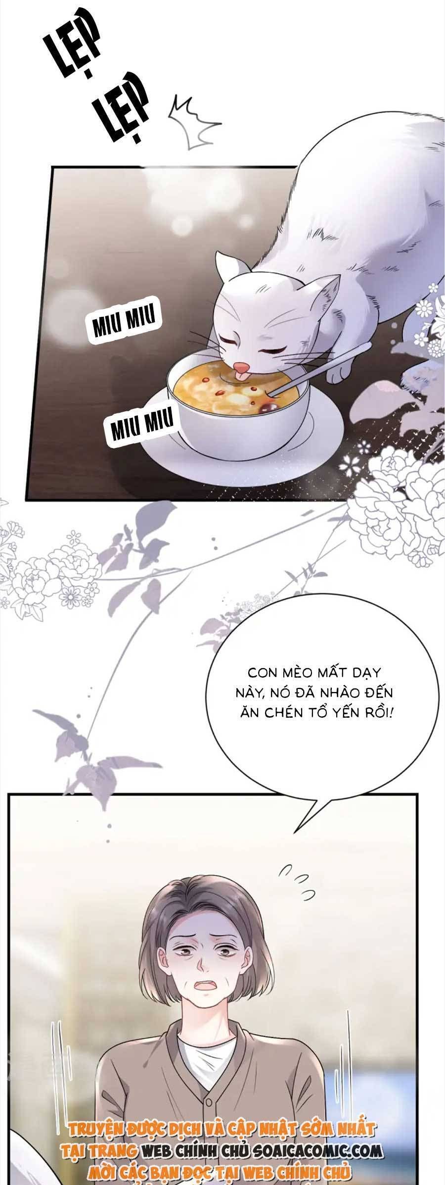 đọc truyện Đại Tiểu Thư Có Thể Có Cái Gì Xấu Chương 176 ảnh 23 tại Giả Dược