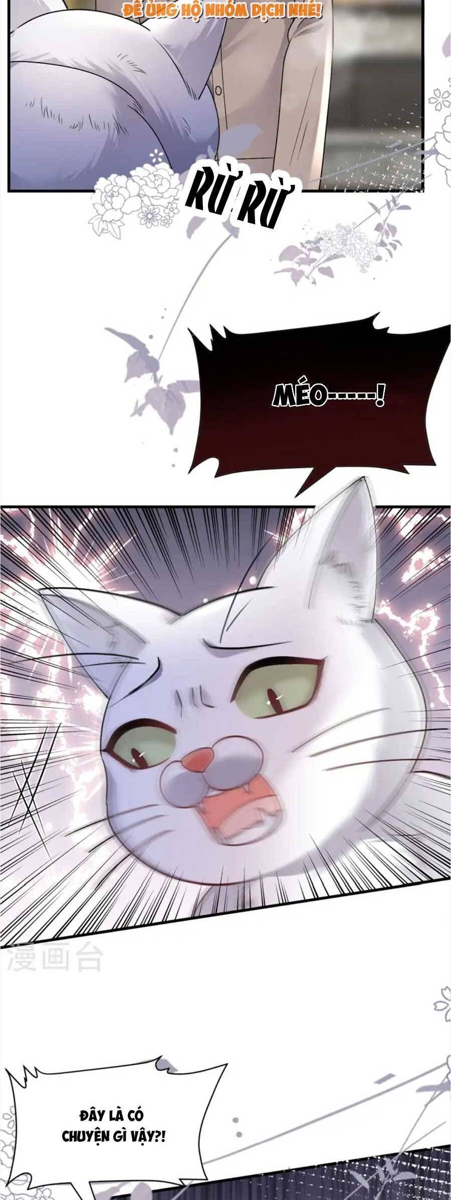 đọc truyện Đại Tiểu Thư Có Thể Có Ý Đồ Gì Đó Chương 176 ảnh 26 tại Thiên Thai Truyện