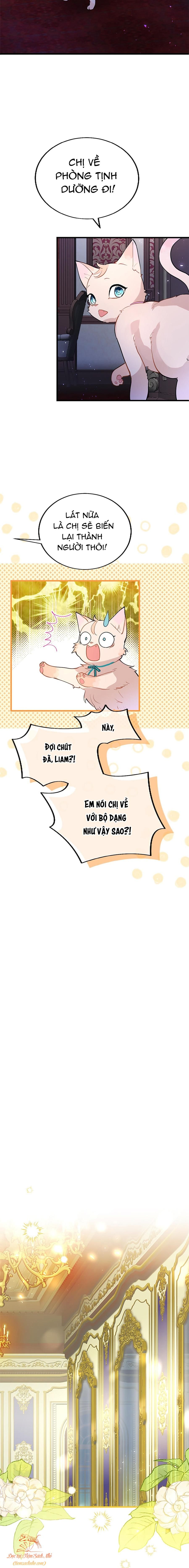 đọc truyện Đại Tiểu Thư Sao Phải Giả Nam Chương 50 ảnh 13 tại Giả Dược