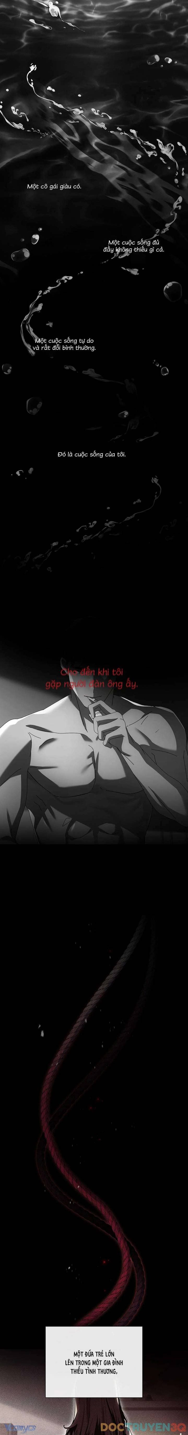 đọc truyện Đắm Chìm Chương 0 ảnh 3 tại Giả Dược