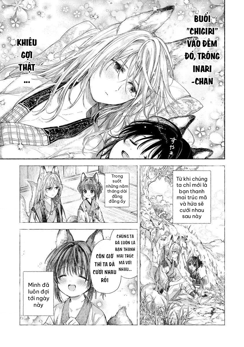 đọc truyện Đám Cưới Của Inari Chương 2 ảnh 4 tại Thiên Thai Truyện